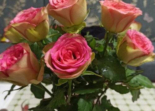 鲜花怎么存放时间长些