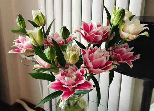 鲜花怎么存放时间长些