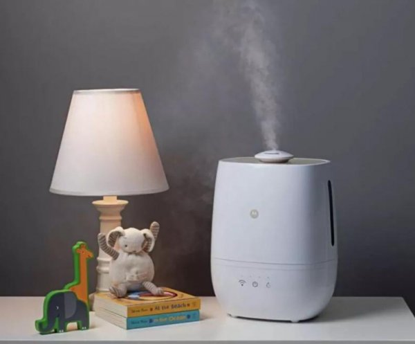 家里湿度多少合适