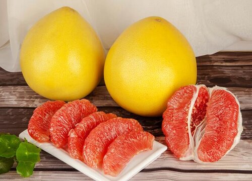 月阳果是什么水果