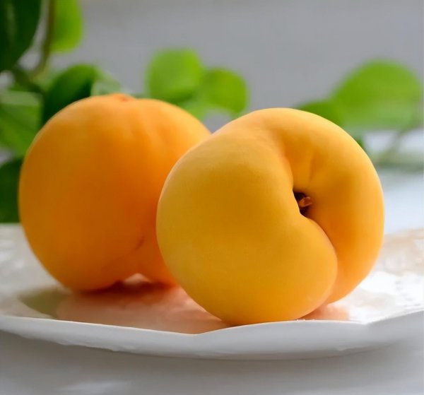 上海土特产都有些什么