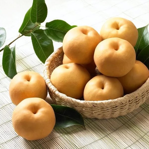 上海土特产都有些什么