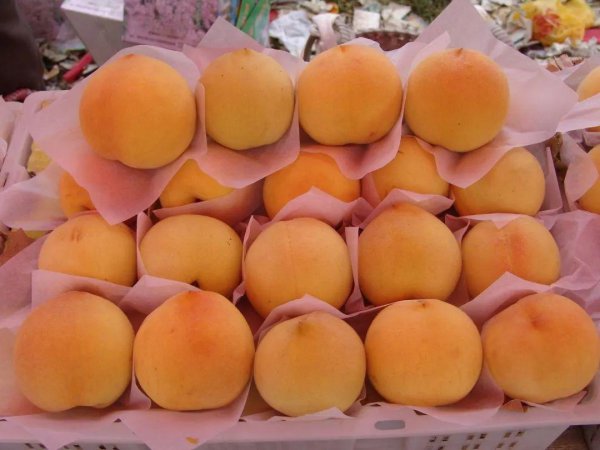 上海土特产都有些什么