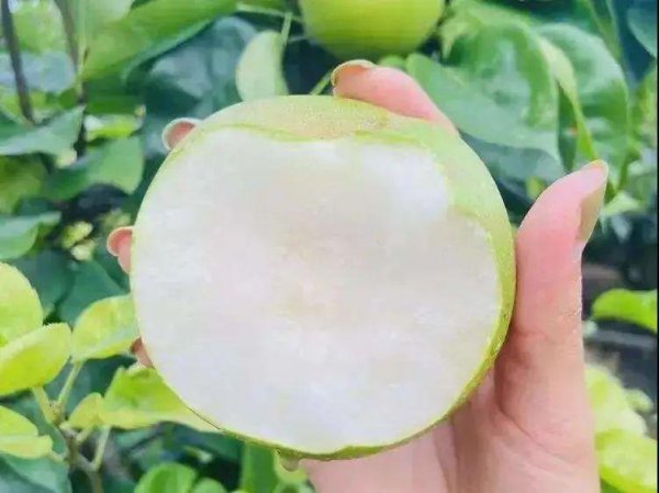 上海土特产都有些什么