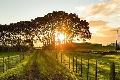 2023年开始走十年好运的星座