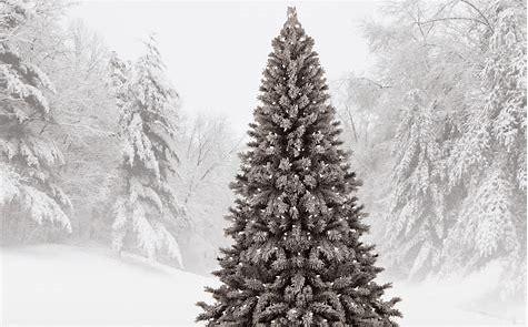 简短十句话穿透人心短句