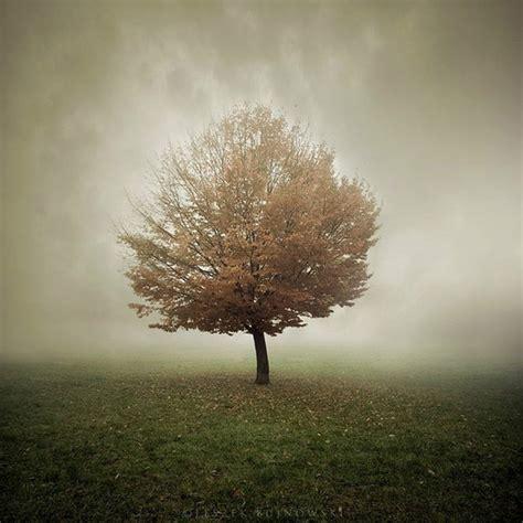 简短十句话穿透人心短句