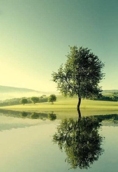 简短十句话穿透人心短句