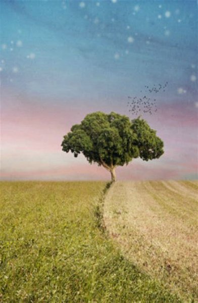 简短十句话穿透人心短句