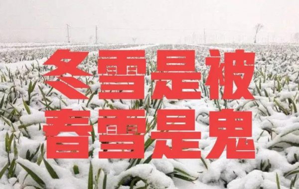 春天下雪好吗