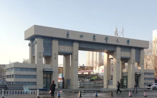 东北最好的大学是哪几所