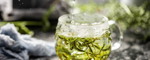 自制茶叶水可以放多久过期