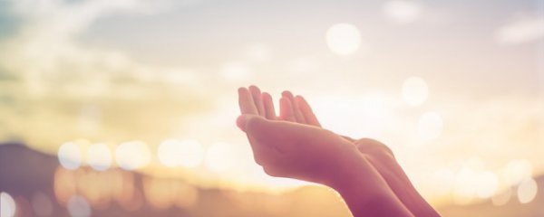 感恩教练的话语