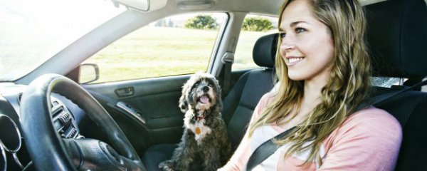 怎么辨别汽车膜的好坏