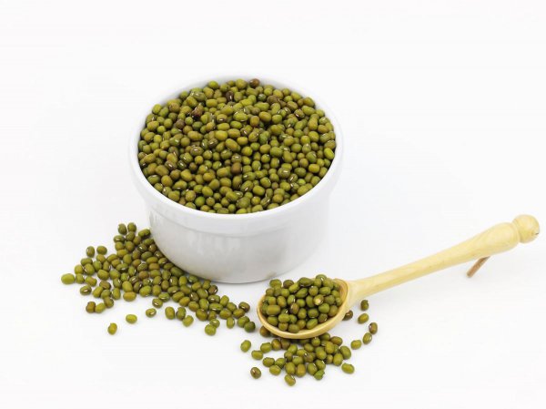 怎样发绿豆芽最快又好窍门