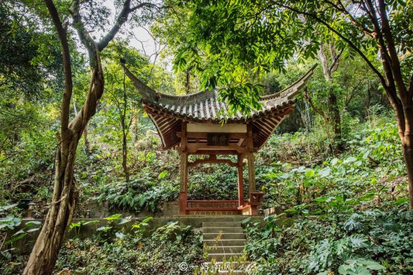 广州白云山海拔多少米