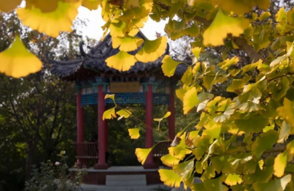 齐鲁工业大学是几本