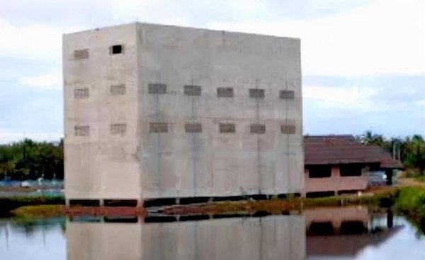 燕窝是什么燕子产出来的