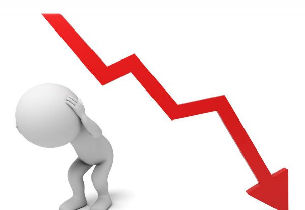 燕窝是什么燕子产出来的