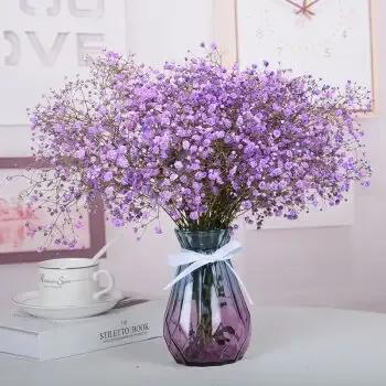 送满天星代表什么意思