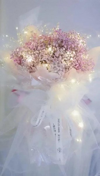 送满天星代表什么意思