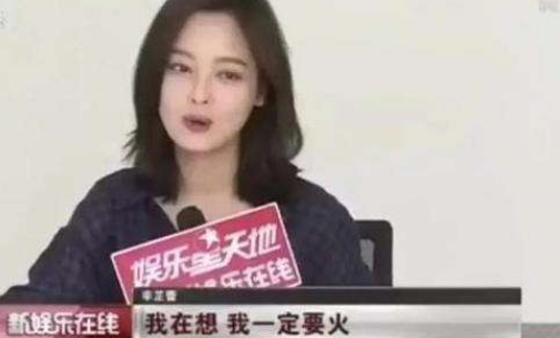 演员辛芷蕾个人资料简介