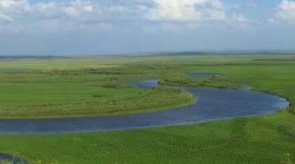 世界上最长的河是什么河