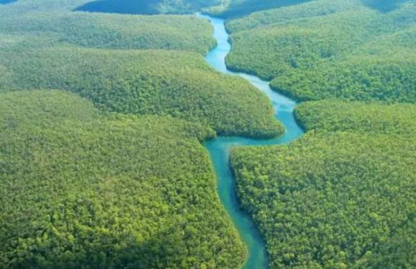 世界上最长的河是什么河