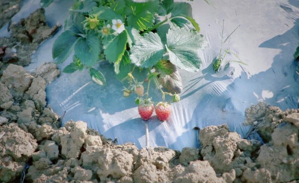 揭西县属于哪个市管辖范围