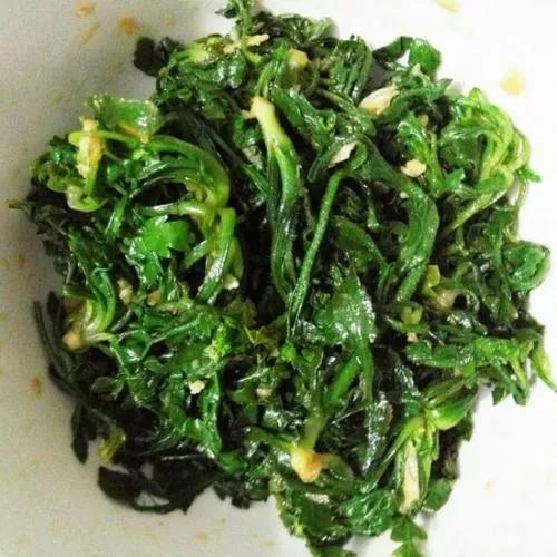 荠菜长什么样子图片