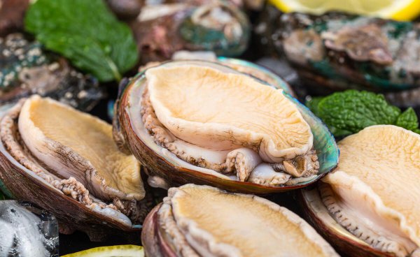 鲍鱼蒸多久最佳时间