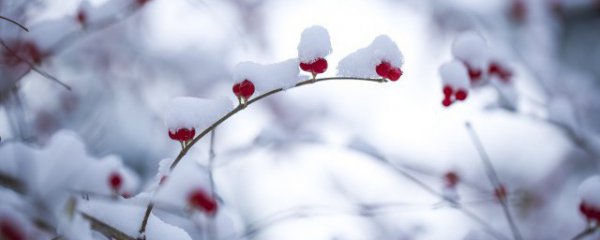 大雪节气祝福语简短