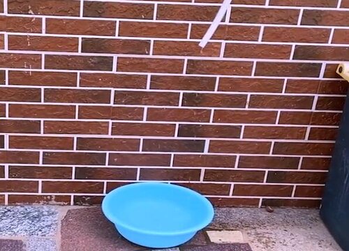 空调水浇菜人可以吃吗