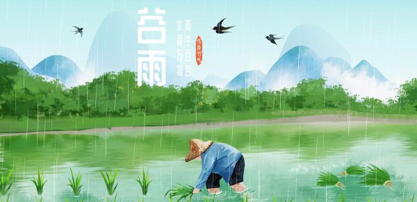 谷雨要下雨吗