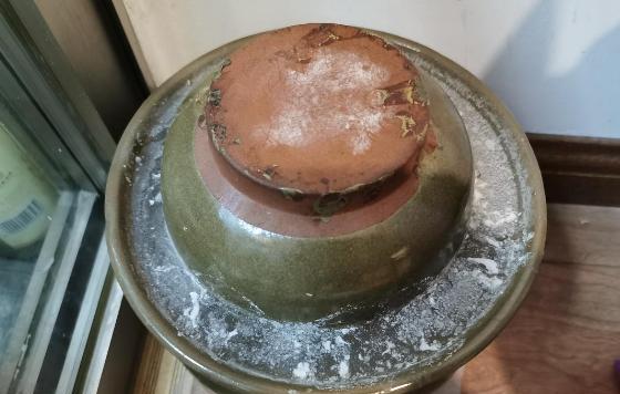 泡菜坛子起白花了怎么办