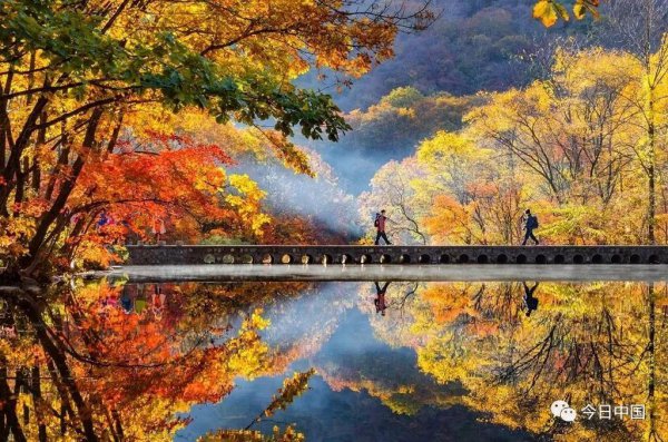 丹东在哪个省具体位置