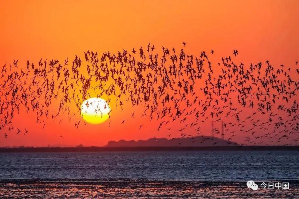 丹东在哪个省具体位置