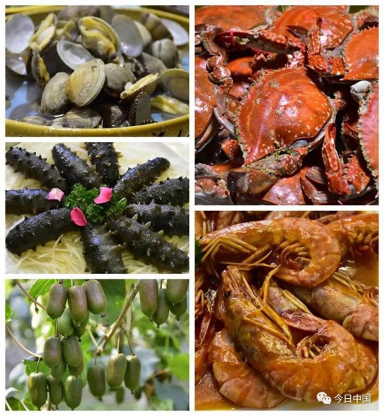 丹东在哪个省具体位置