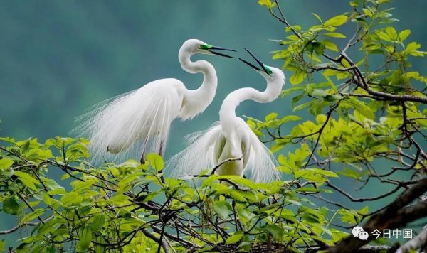 丹东在哪个省具体位置