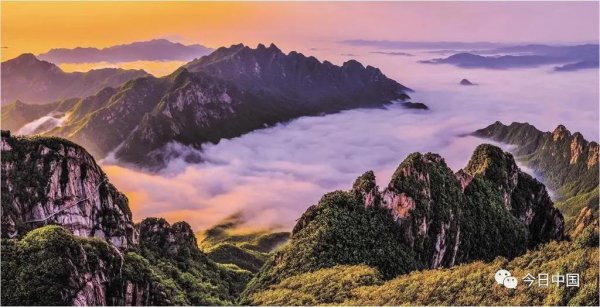 丹东在哪个省具体位置