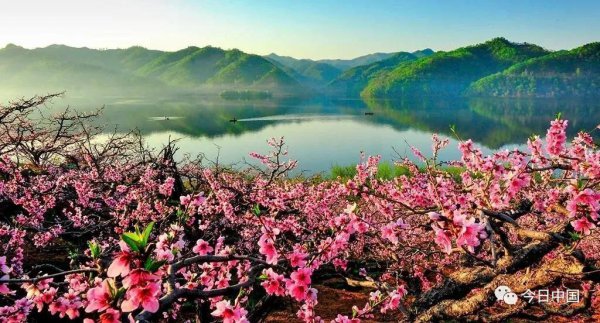 丹东在哪个省具体位置