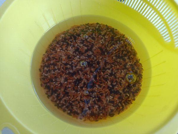 减肥三色糙米饭是哪三种