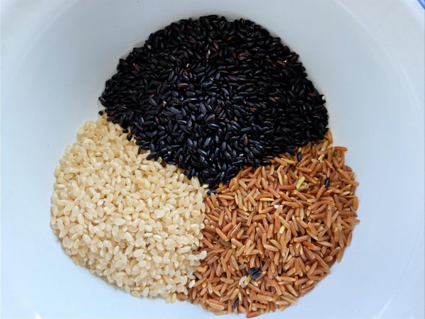减肥三色糙米饭是哪三种