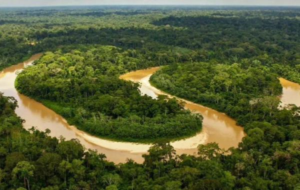 巴西位于哪个半球哪个洲