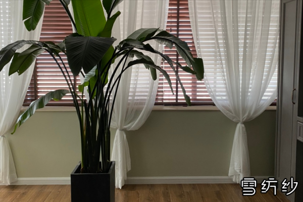 纱帘什么材质的好一点
