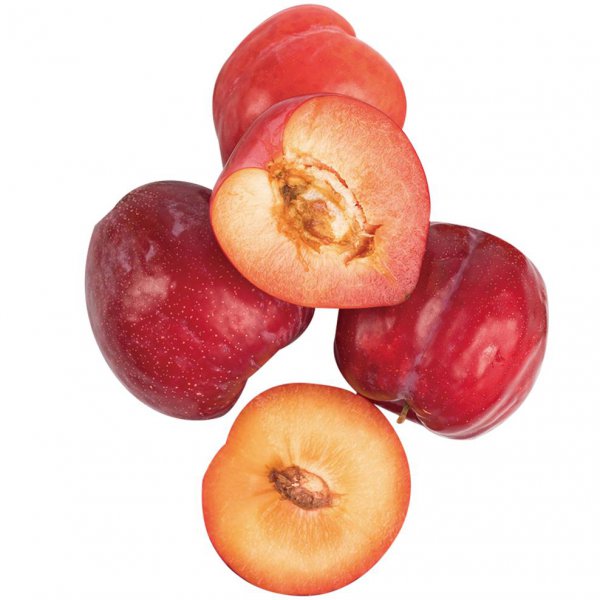 减肥的十大低糖水果排行榜