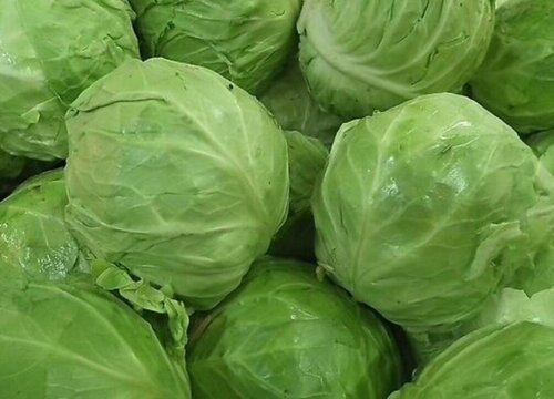 圆白菜怎么洗才干净