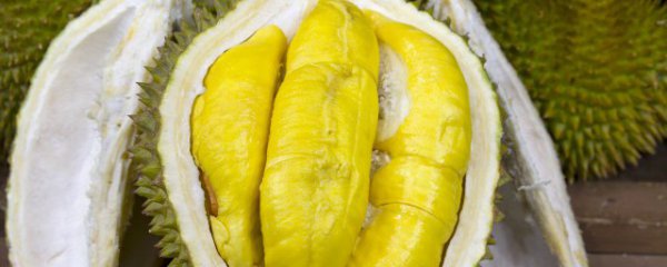 空腹吃榴莲好吗