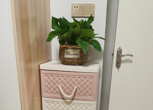 绿萝耐寒耐冻吗