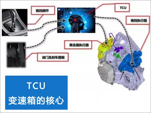 tcu是什么意思